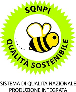 sqnpi